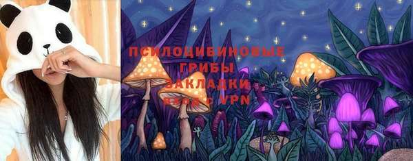mdpv Володарск