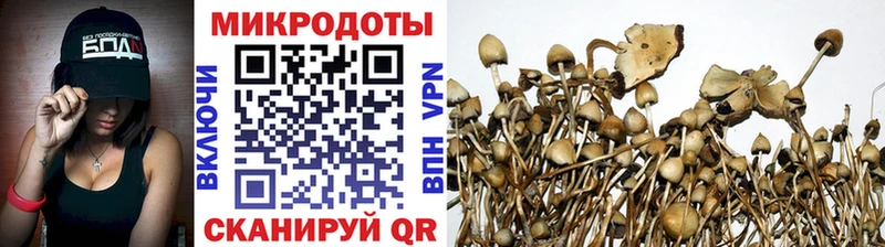 Галлюциногенные грибы мицелий  Иланский 